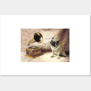 Pug Dog Grammaphone Posters and Art